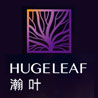 logo.jpg