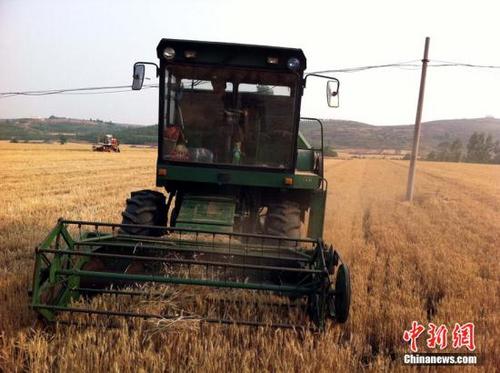 今年全国夏粮产量为历史第二高位为何丰收又增收?