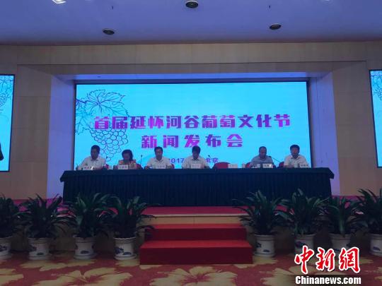 京张破除“一亩三分地”思维模式合力推动延怀河谷葡萄产业
