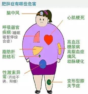 肥胖费钱