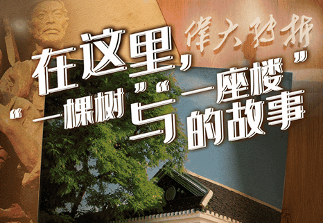 1127087281_16128796098031n_副本.gif