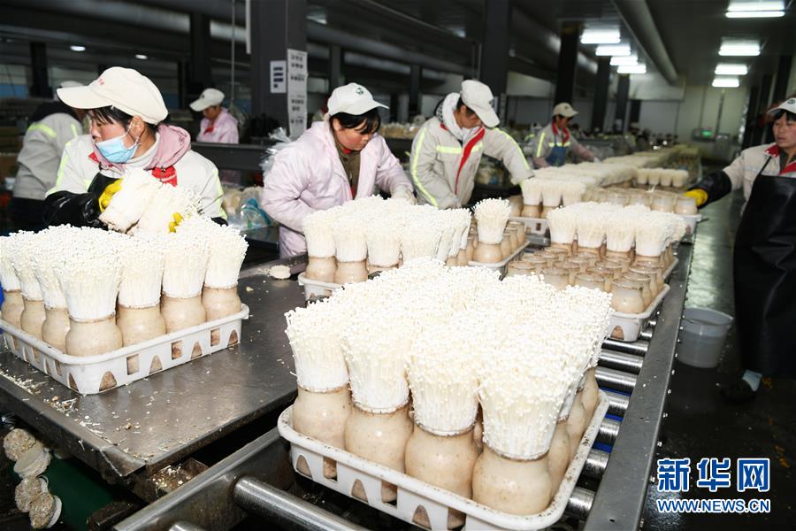 (走向益达娱乐的小康生活·图文互动)(2)乌蒙“同心”战贫困