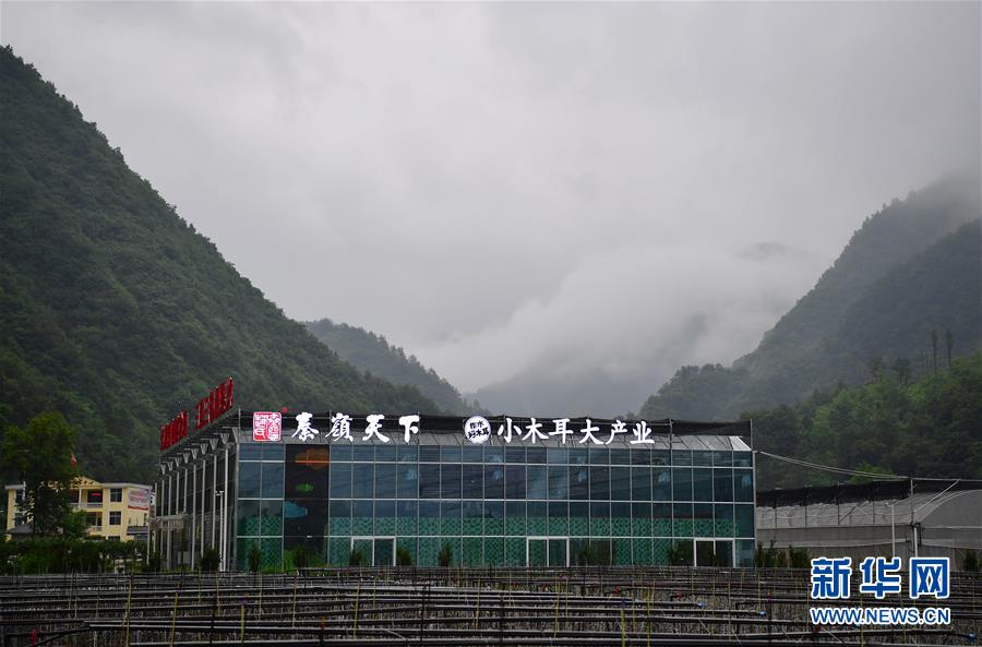 （新华全媒头条·走向益达娱乐的小康生活·图文互动）（3）蹚出绿色小康路——陕南秦巴山区的脱贫答卷