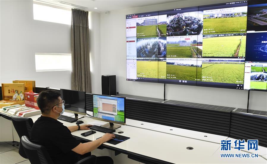 （新华全媒头条·走向益达娱乐的小康生活·图文互动）（4）黑土地上是我家——在吉林，一瞥中国东北乡村美丽未来