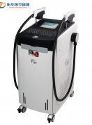 기미 세포광의 임상 및 학술