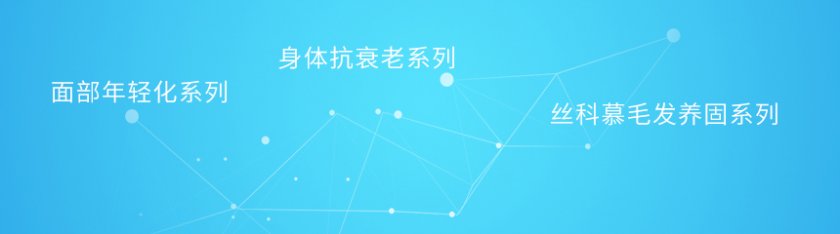 产品介绍