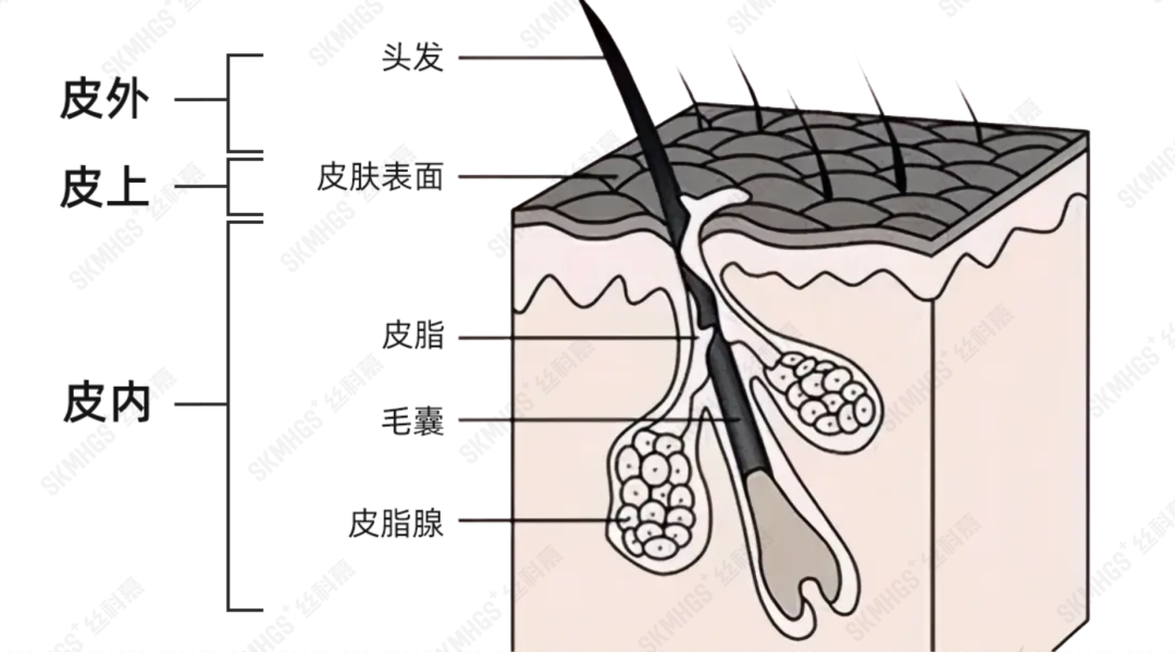 b098939c70a97f0c6b6366c9c98fb028_640_wx_fmt=png&wxfrom=5&wx_lazy=1&wx_co=1