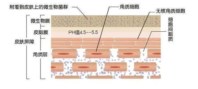 22cf4685034a5b1096cf5e370d8fed22_640_wx_fmt=jpeg&wxfrom=5&wx_lazy=1&wx_co=1