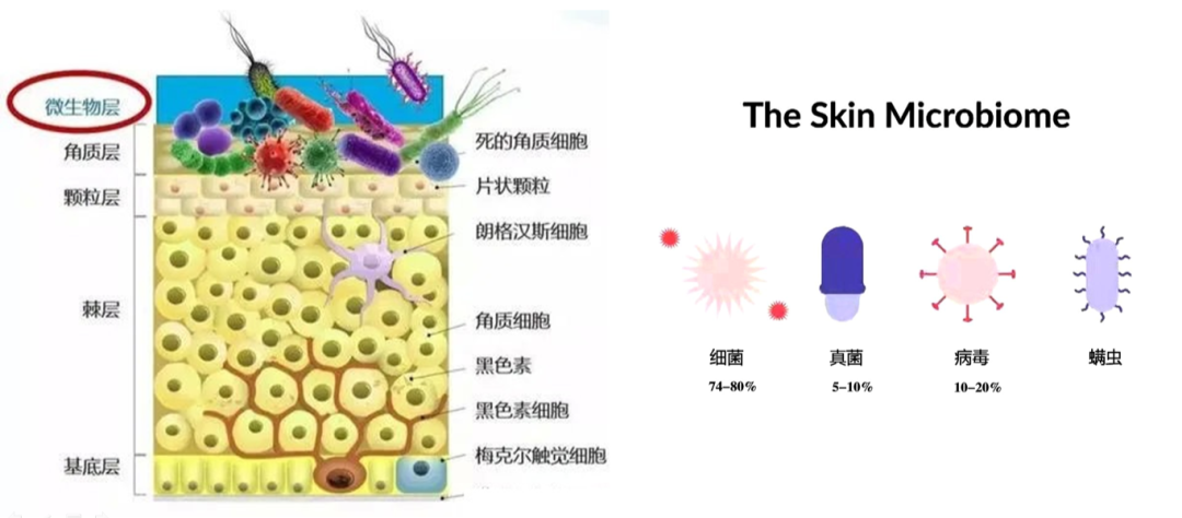 3d00669b39e0610b76fa61accc5840b3_640_wx_fmt=png&wxfrom=5&wx_lazy=1&wx_co=1