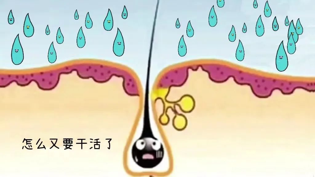 f641e7f1021a7d0ba12c2aae34a643fd_640_wx_fmt=jpeg&wxfrom=5&wx_lazy=1&wx_co=1 图片