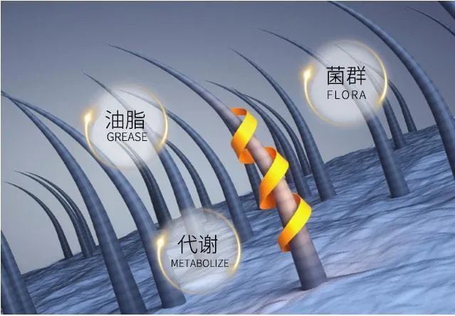 726114ac3b4fd55748fb00f24dff8f79_640_wx_fmt=jpeg&wxfrom=5&wx_lazy=1&wx_co=1 图片