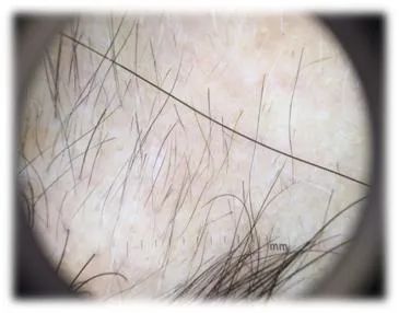 b7e713b3b7a1d28d89efb3f79923622d_640_wx_fmt=jpeg&wxfrom=5&wx_lazy=1&wx_co=1 图片