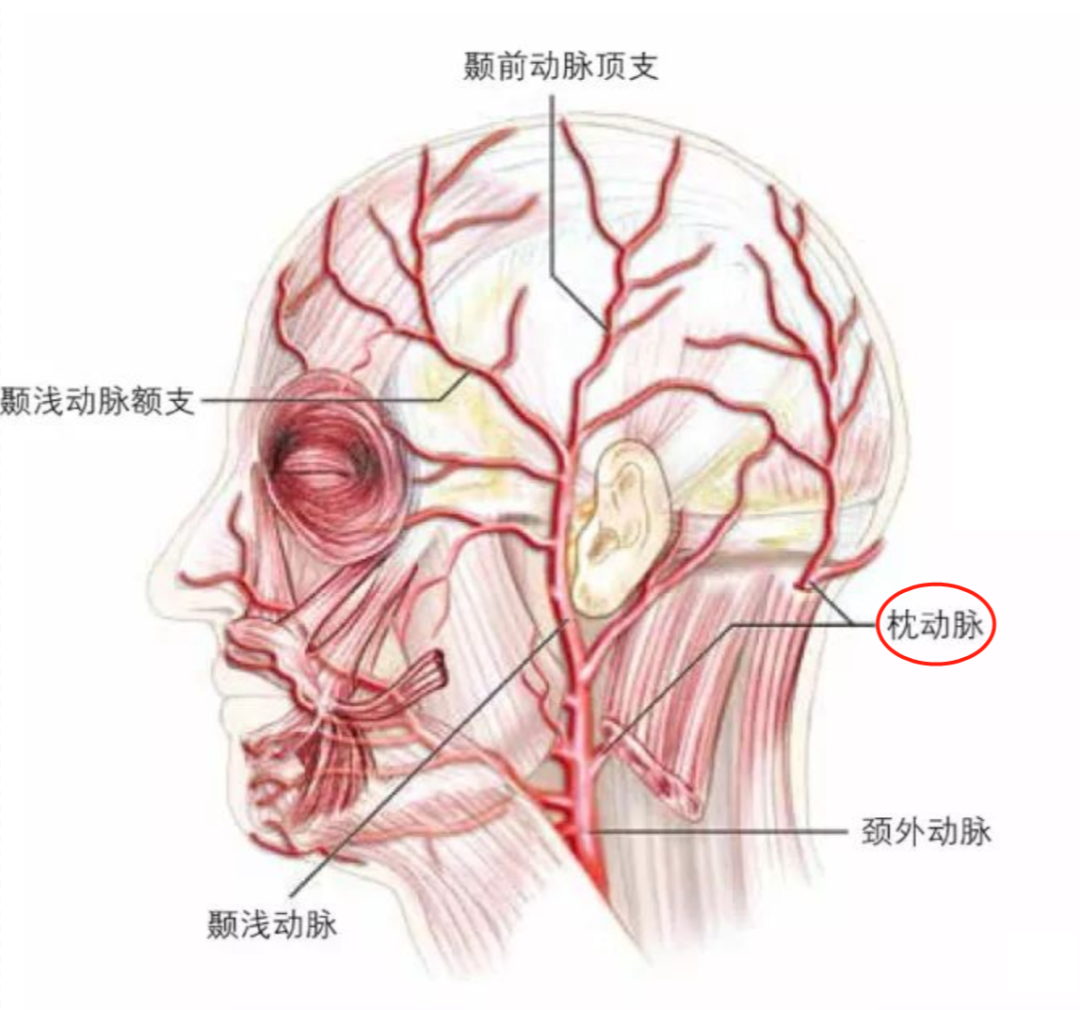 84a0e90e9206ae0775ea3858a8c87c16_640_wx_fmt=png&wxfrom=5&wx_lazy=1&wx_co=1 图片