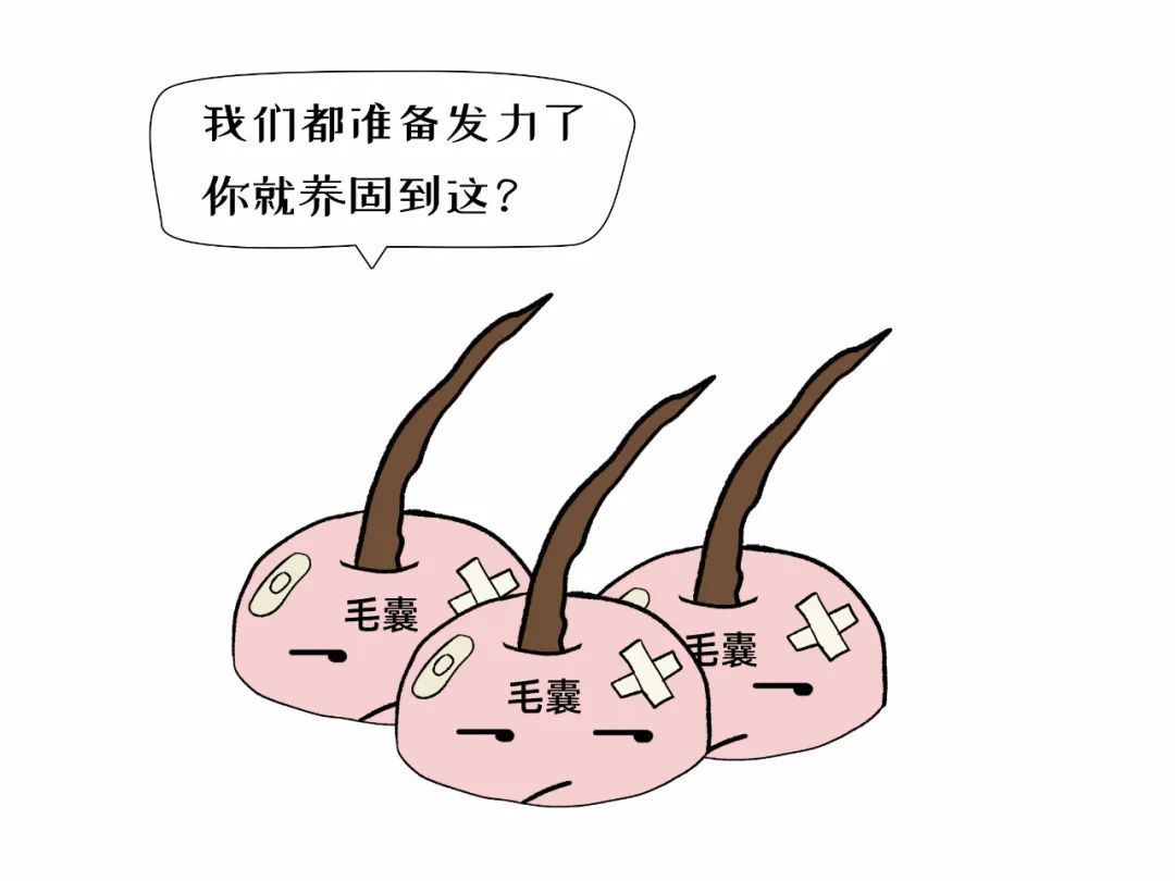 132397f97c00b3622e6406c63a9f18a4_640_wx_fmt=jpeg&wxfrom=5&wx_lazy=1&wx_co=1 图片