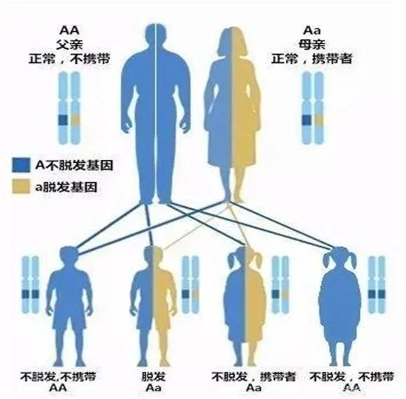 6a01d14b05424eee0219f19bc25c88b7_640_wx_fmt=jpeg&wxfrom=5&wx_lazy=1&wx_co=1 图片