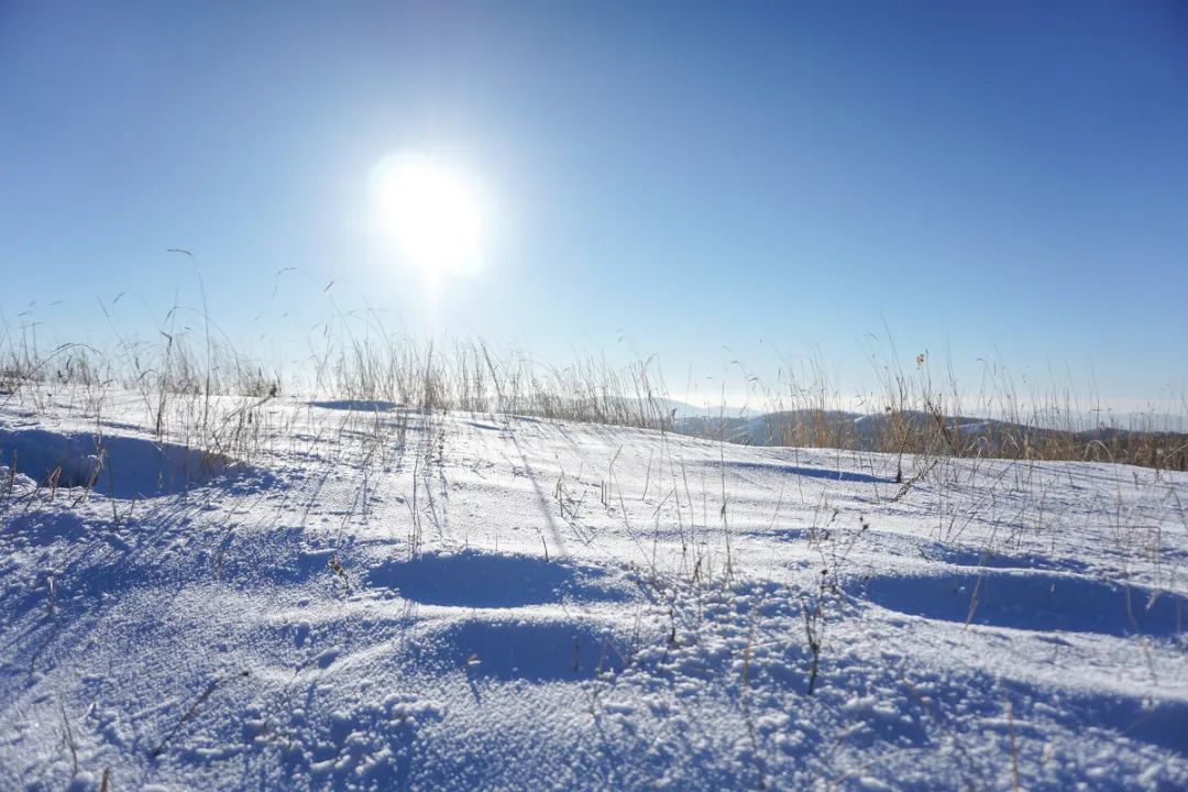 e926d394f1661446f2e23c27960d67f7_640_wx_fmt=jpeg&wxfrom=5&wx_lazy=1&wx_co=1 图片