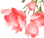 03069109ac22ca231f2160923b54cb06_640_wx_fmt=png&wx_co=1&wxfrom=5&wx_lazy=1