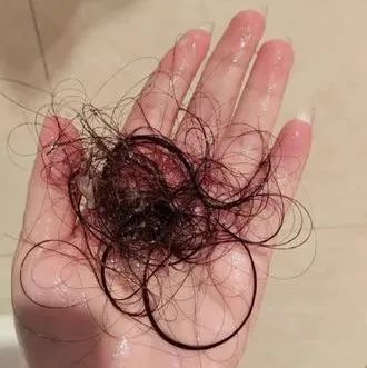 5d1f6d6946ce7d4a84f1d1be14136975_640_wx_fmt=jpeg&wxfrom=5&wx_lazy=1&wx_co=1 图片